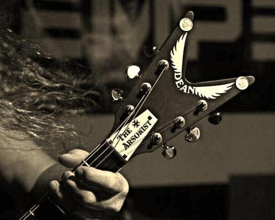 10468549_10204124327732638_6106388872126511293_n